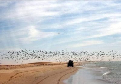 Gaoling Nature Park is located on the bank of the Senegalese River