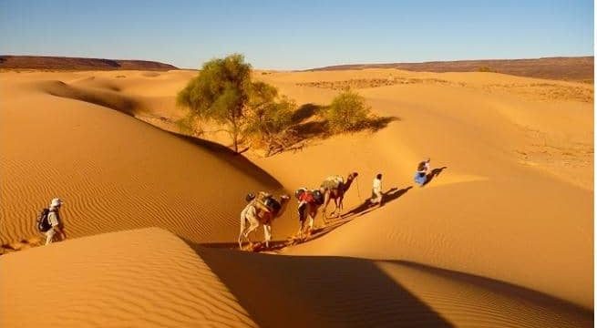 Tourism in Mauritania with the travel and excursion agency in Mauritania